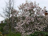 2009-04-28_08-58-31_0072