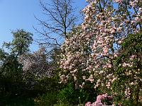 2009-04-30_07-16-57_0104