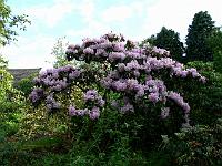 2008-05-18_08-40-54_0115