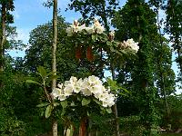 2009-06-16_08-27-49_0016