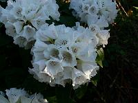 2008-05-09_06-26-16_0026