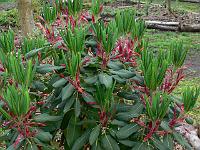 2009-05-16_19-21-59_0077