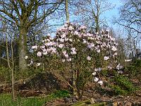 2009-04-10_07-17-08_0076