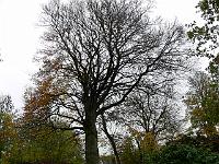 2008-11-05_11-31-09_0129