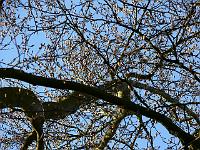 2009-04-19_17-21-34_0019