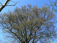 2009-04-21_12-19-10_0005