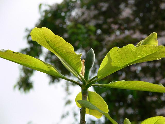 07-05-2007_10-45-22_08