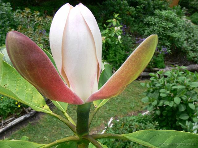 31-05-2007_12-49-01_84