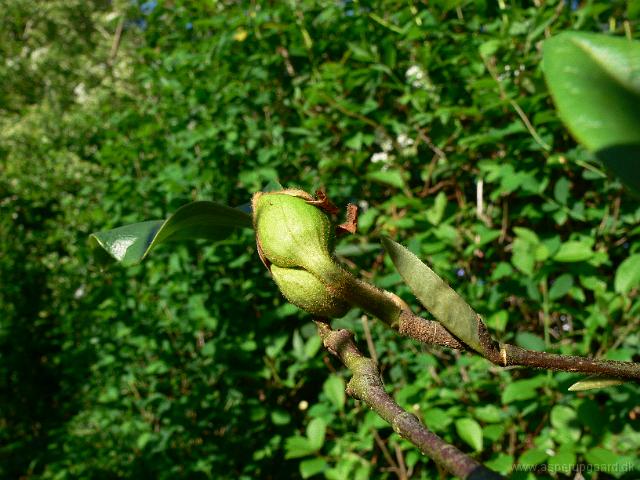 01-05-2007_14-25-06_46