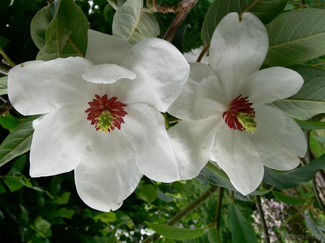 01-06-2007_17-04-02_13