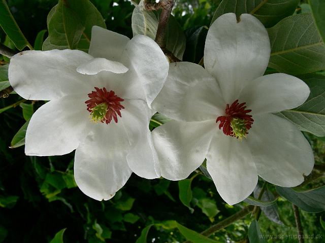 01-06-2007_17-04-18_16