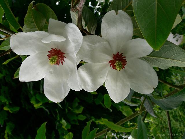 01-06-2007_17-05-09_26