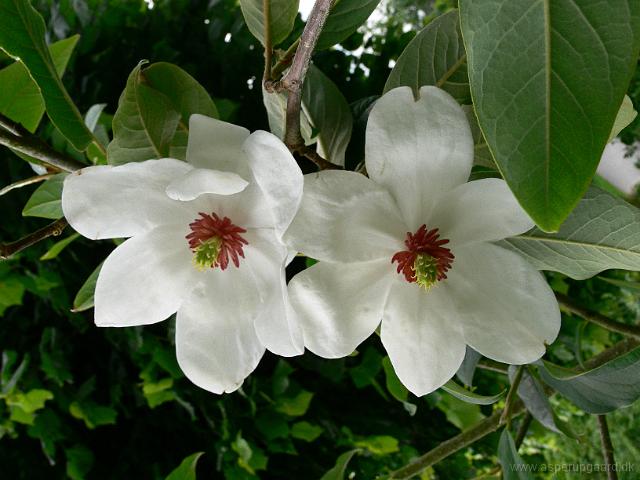 01-06-2007_17-05-28_30