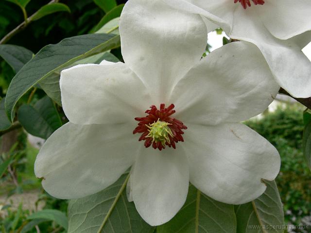 01-06-2007_17-05-56_37