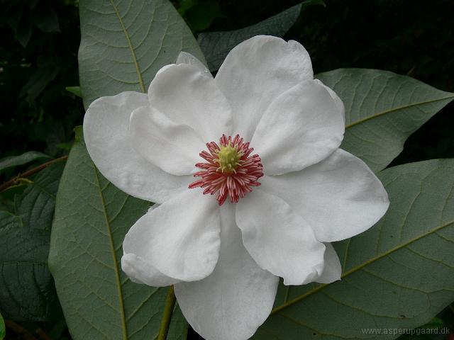 01-09-2006_15-38-49_11