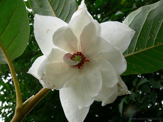 03-08-2006_10-58-46_15