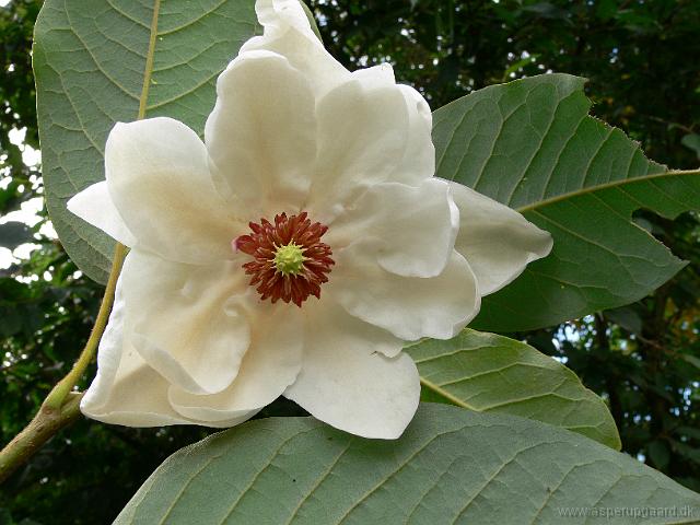 03-09-2006_12-45-28_18