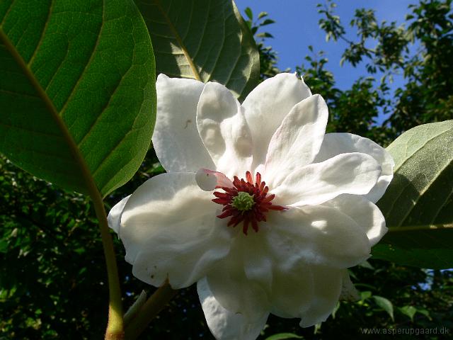 04-08-2006_09-16-43_06