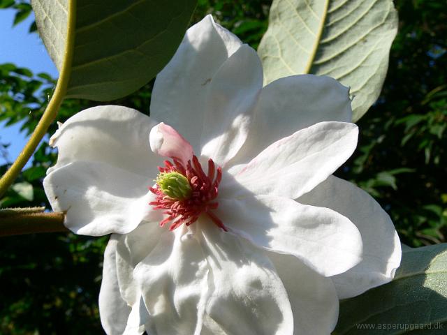 04-08-2006_09-16-58_10