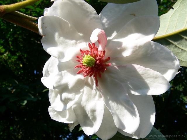 04-08-2006_09-17-43_21