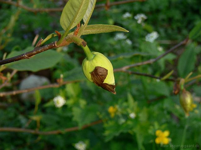 12-05-2006_19-33-43_115