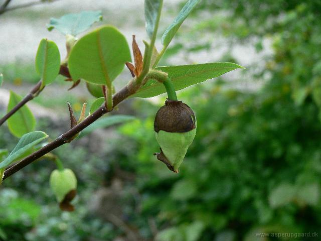 12-05-2006_19-34-07_121