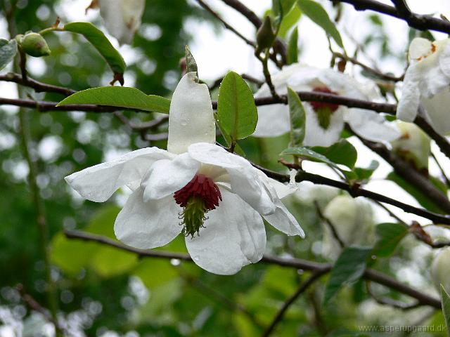 12-05-2007_18-18-55_28