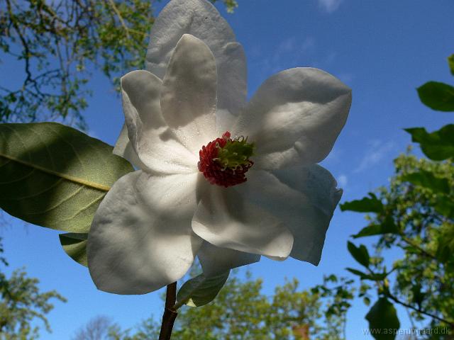 14-05-2007_08-42-18_19