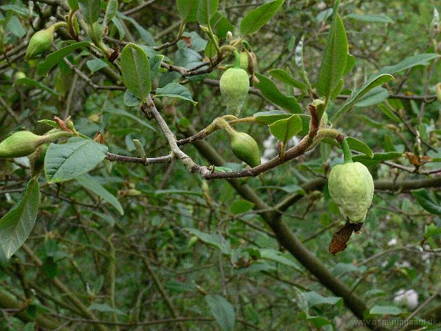 15-05-2006_10-14-44_88