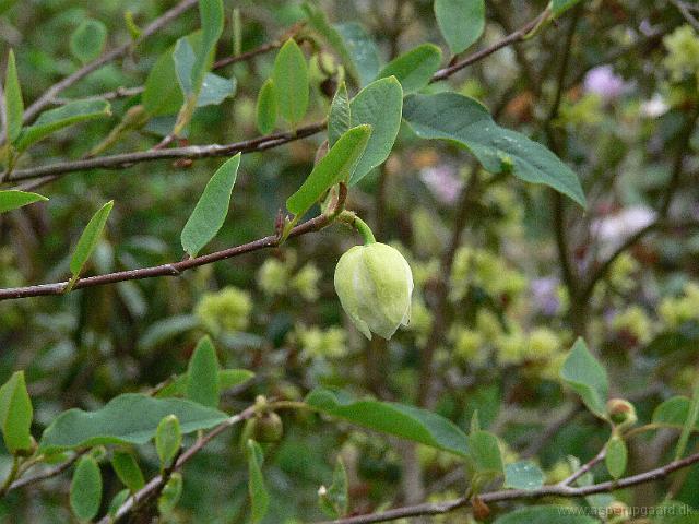 17-05-2006_13-38-44_57