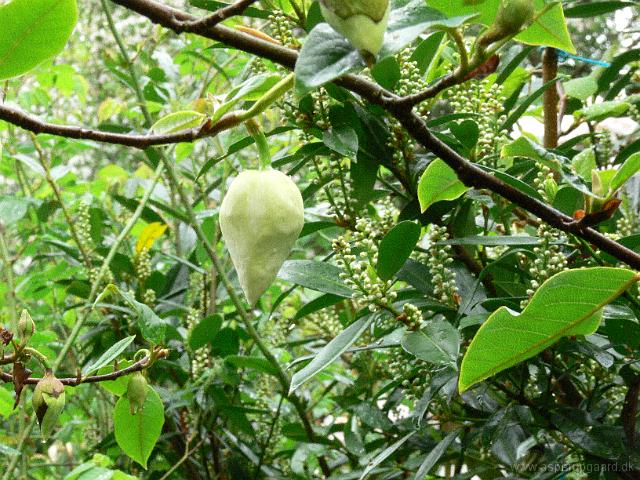 18-05-2006_14-45-28_191