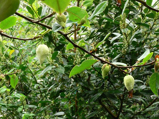 18-05-2006_14-46-10_202