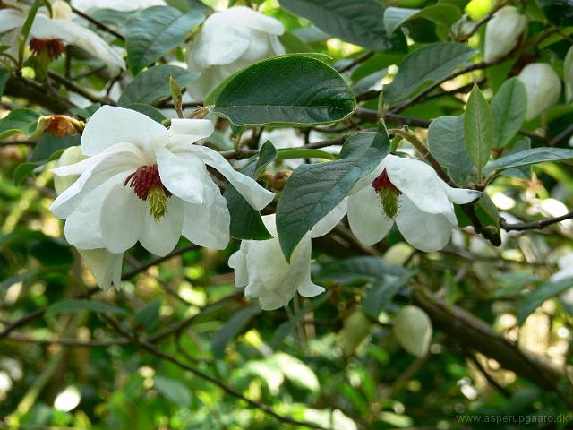 20-05-2007_11-20-26_46