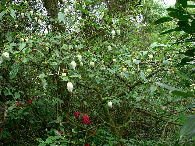 21-05-2006_16-55-33_135