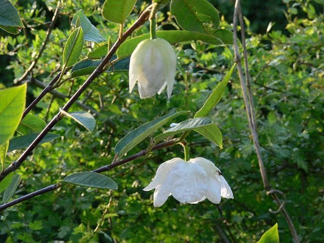 21-05-2006_20-55-42_212