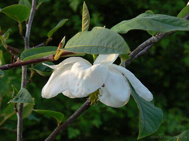 21-05-2006_20-56-13_220