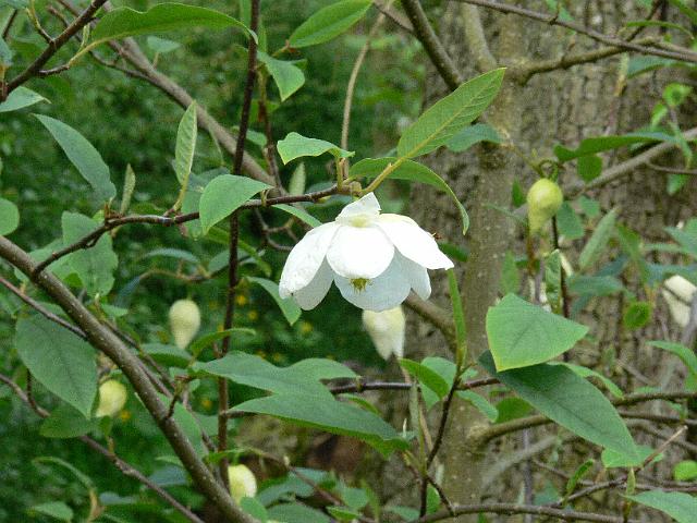 22-05-2006_20-57-29_103