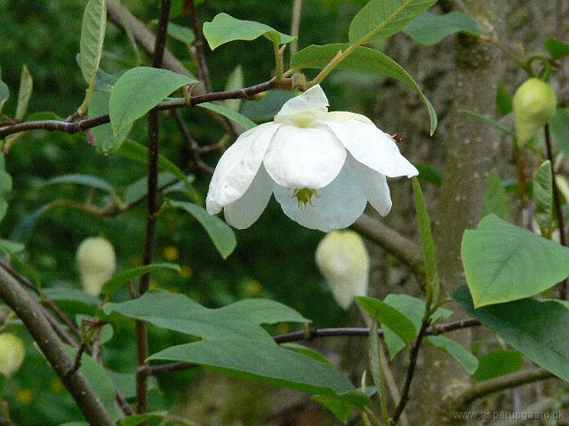 22-05-2006_20-57-40_106