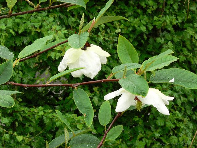 23-05-2006_11-17-30_57