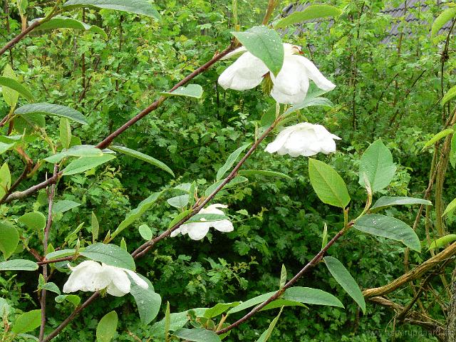 23-05-2006_11-17-34_58