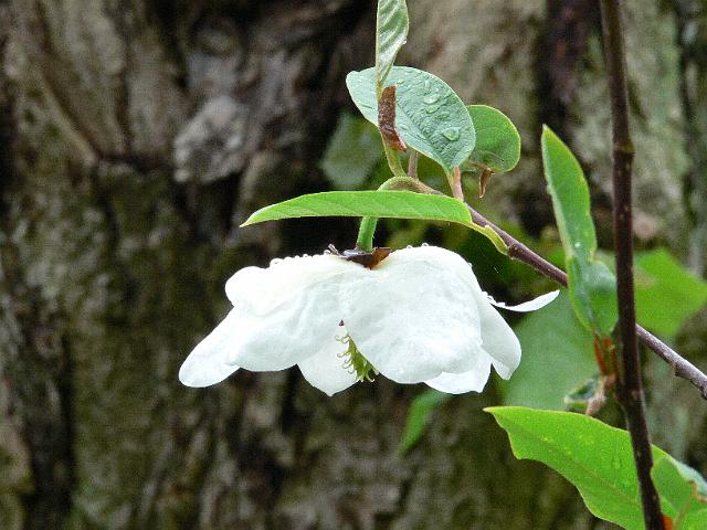 23-05-2006_11-18-20_70