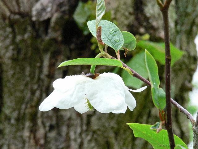 23-05-2006_11-18-42_76