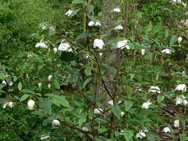 24-05-2006_18-23-55_20