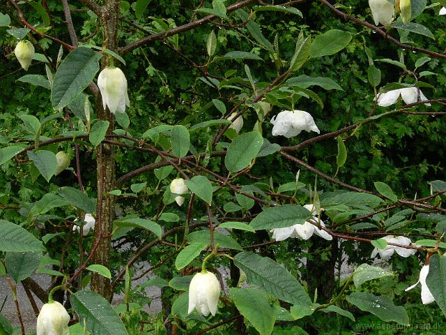 24-05-2006_18-24-16_26