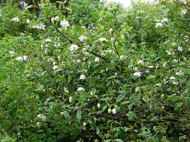 24-05-2006_18-30-07_119