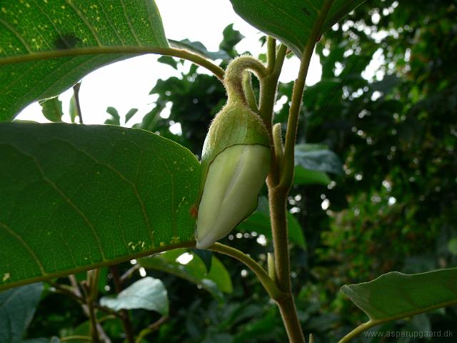 24-08-2006_09-38-16_09