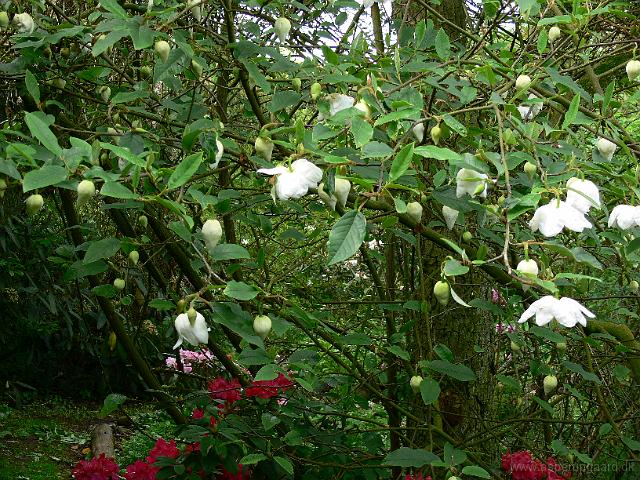 25-05-2006_09-16-38_66