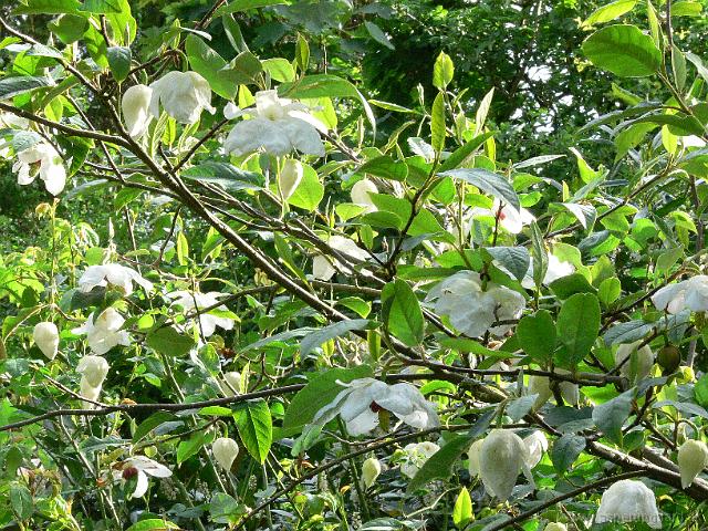 25-05-2006_09-18-19_93