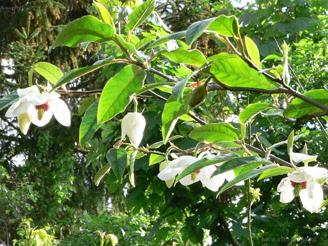 25-05-2006_09-18-57_103