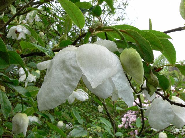 28-05-2006_08-13-41_40